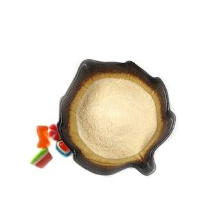 halal Empty Gelatin Capsules Powder gelatin manufacturer