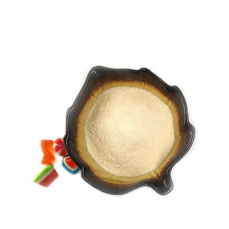 halal Empty Gelatin Capsules Powder gelatin manufacturer